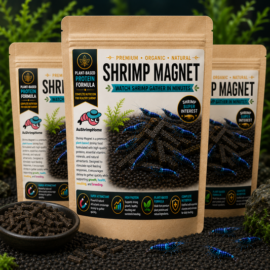 Shrimp Magnet | Watch Shrimps Gather in Minutes