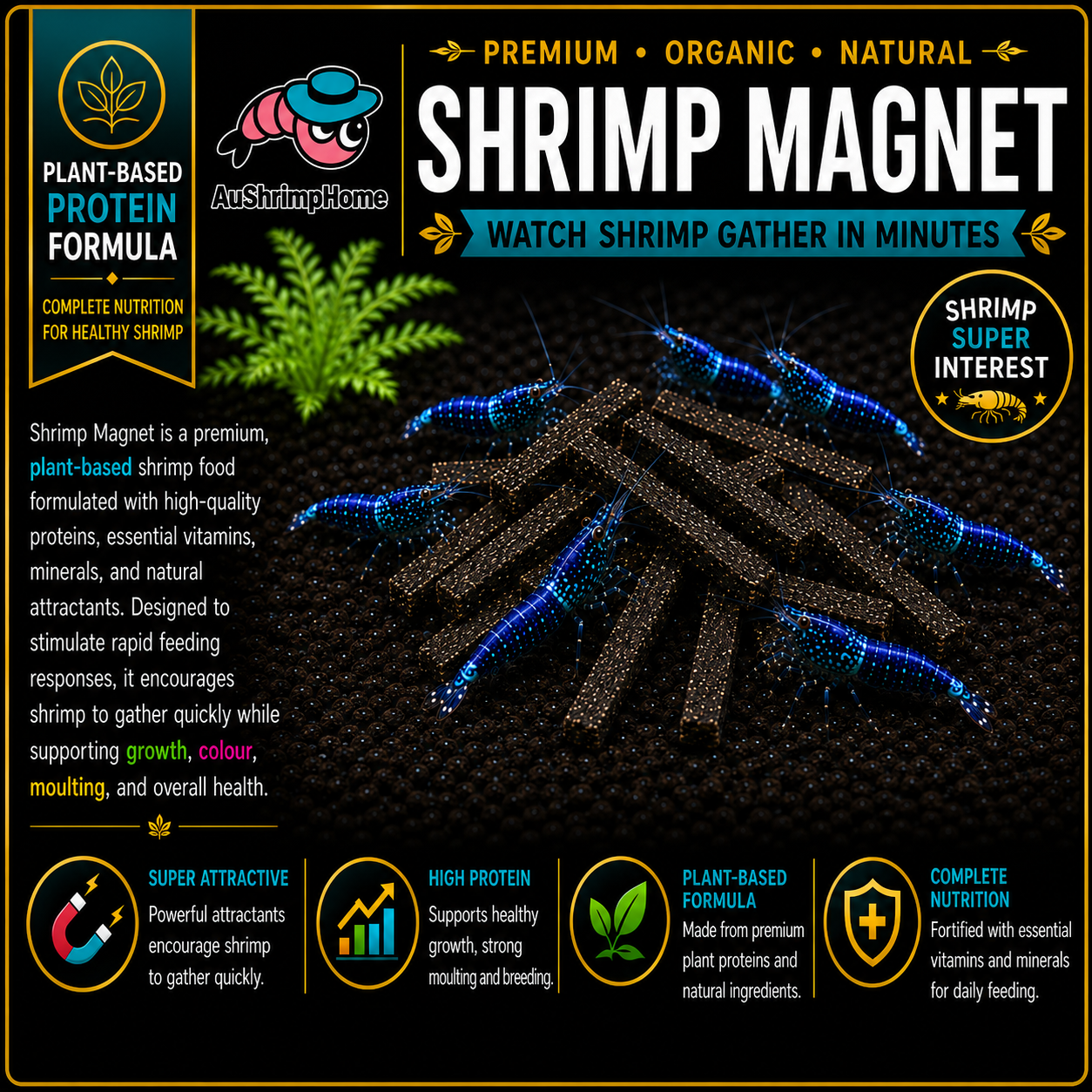 Shrimp Magnet | Watch Shrimps Gather in Minutes