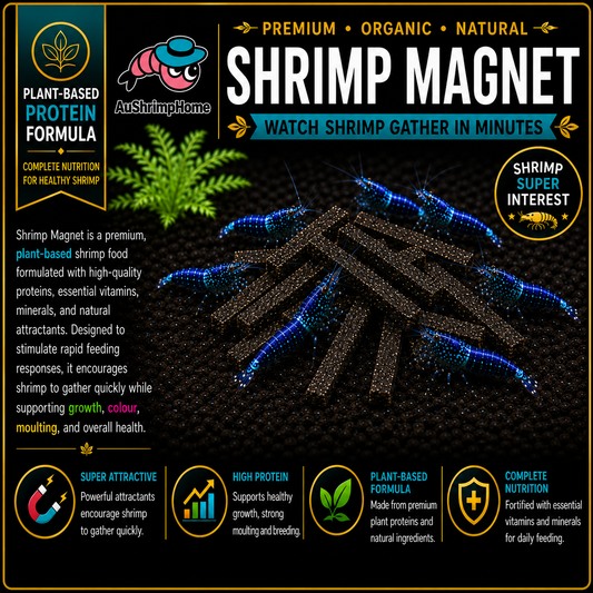 Shrimp Magnet | Watch Shrimps Gather in Minutes