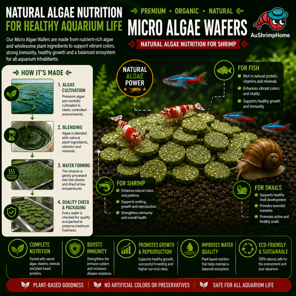 Micro Algae Wafers | New Version