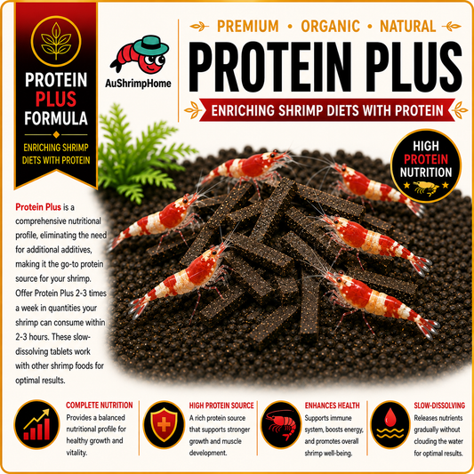Protein Plus | Enriching shrimp diets with protein