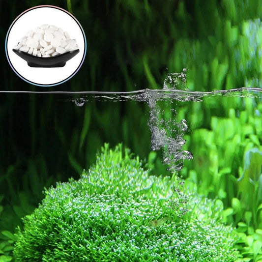 Algae Remover Tablets
