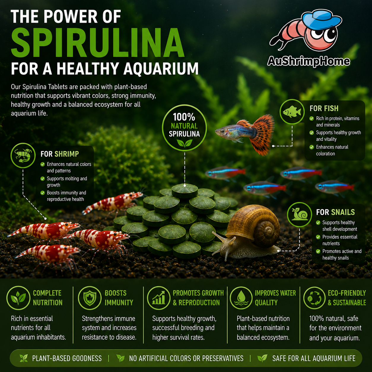Premium Spirulina Tablets