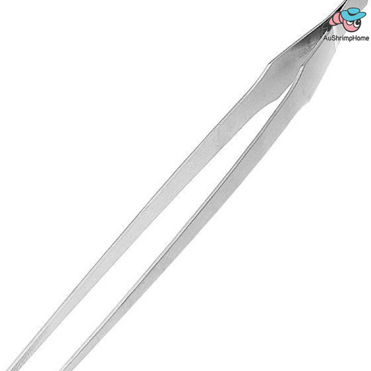 Long Tweezers Straight Tips | ~40cm