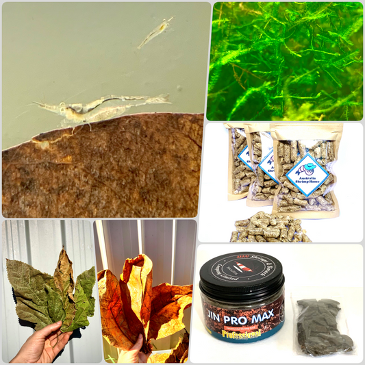 Darwin Package