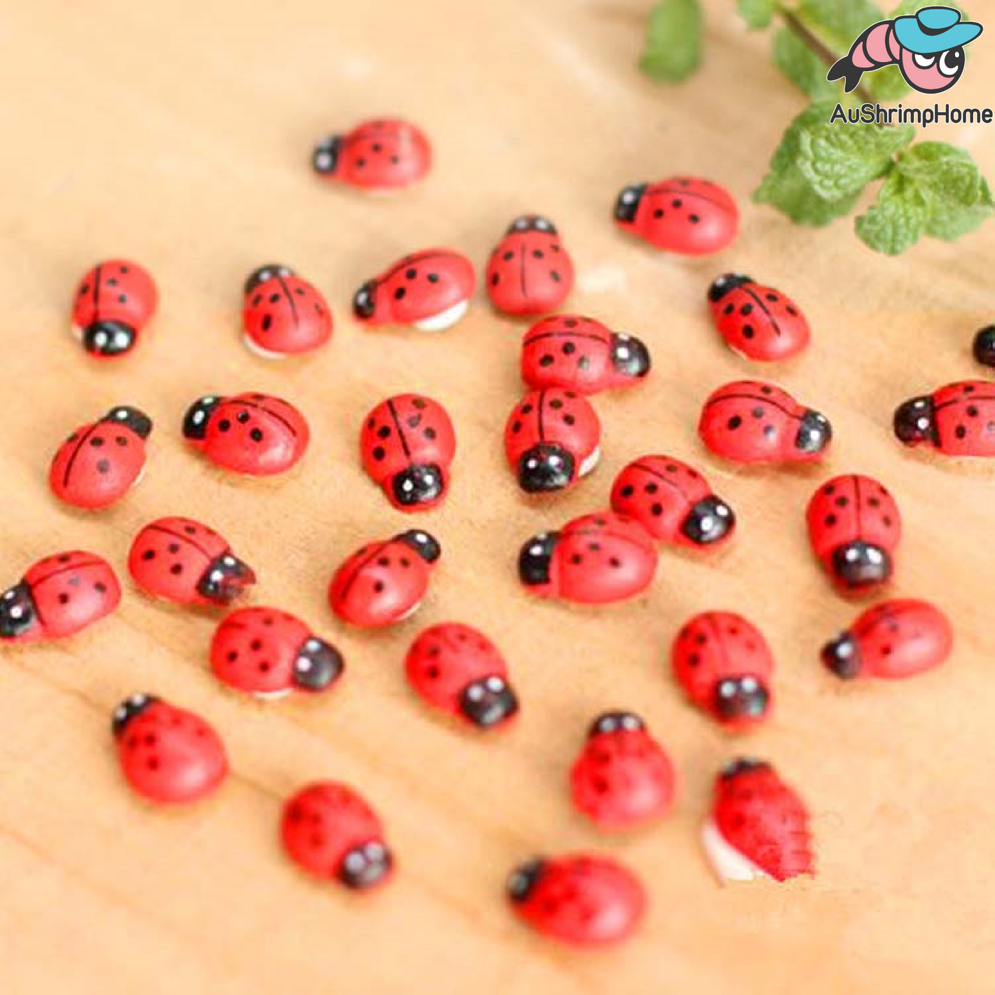 5x Mini Ladybug