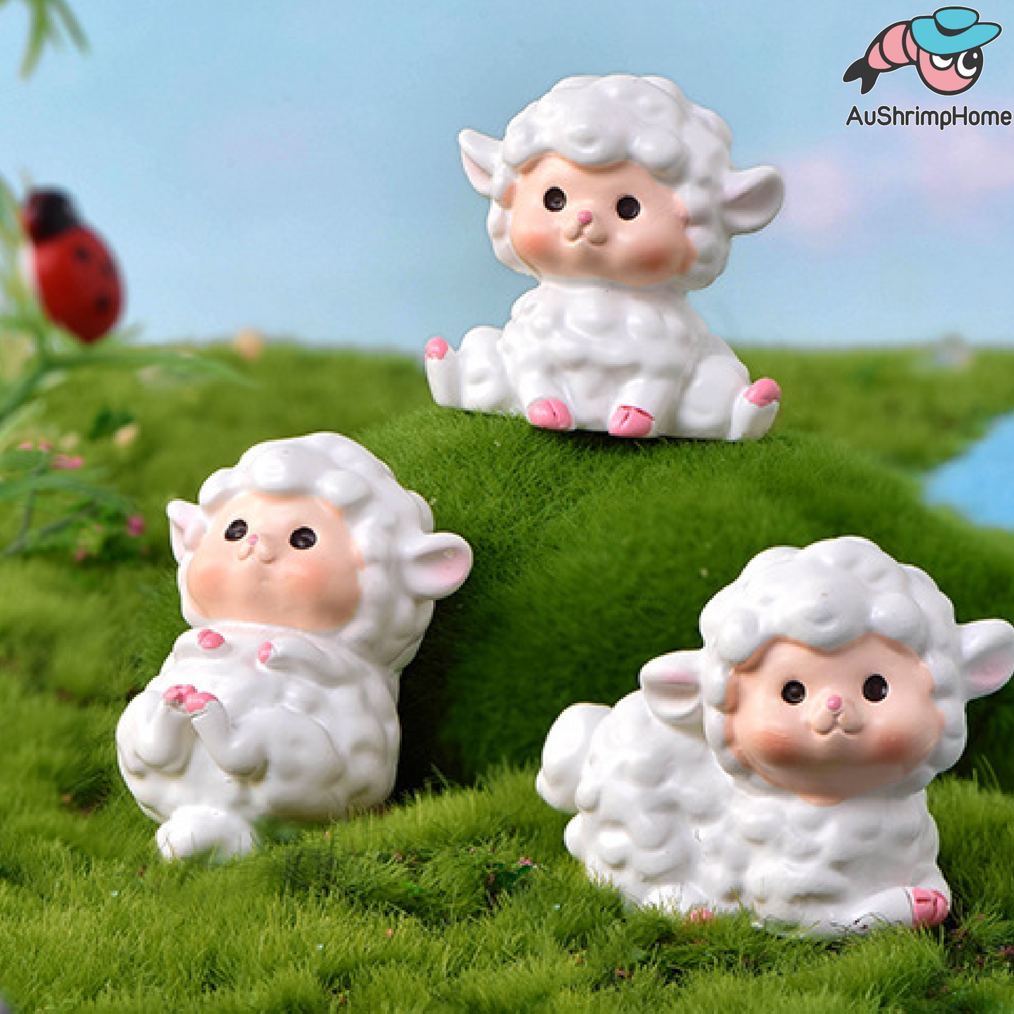 Adorable Sheep