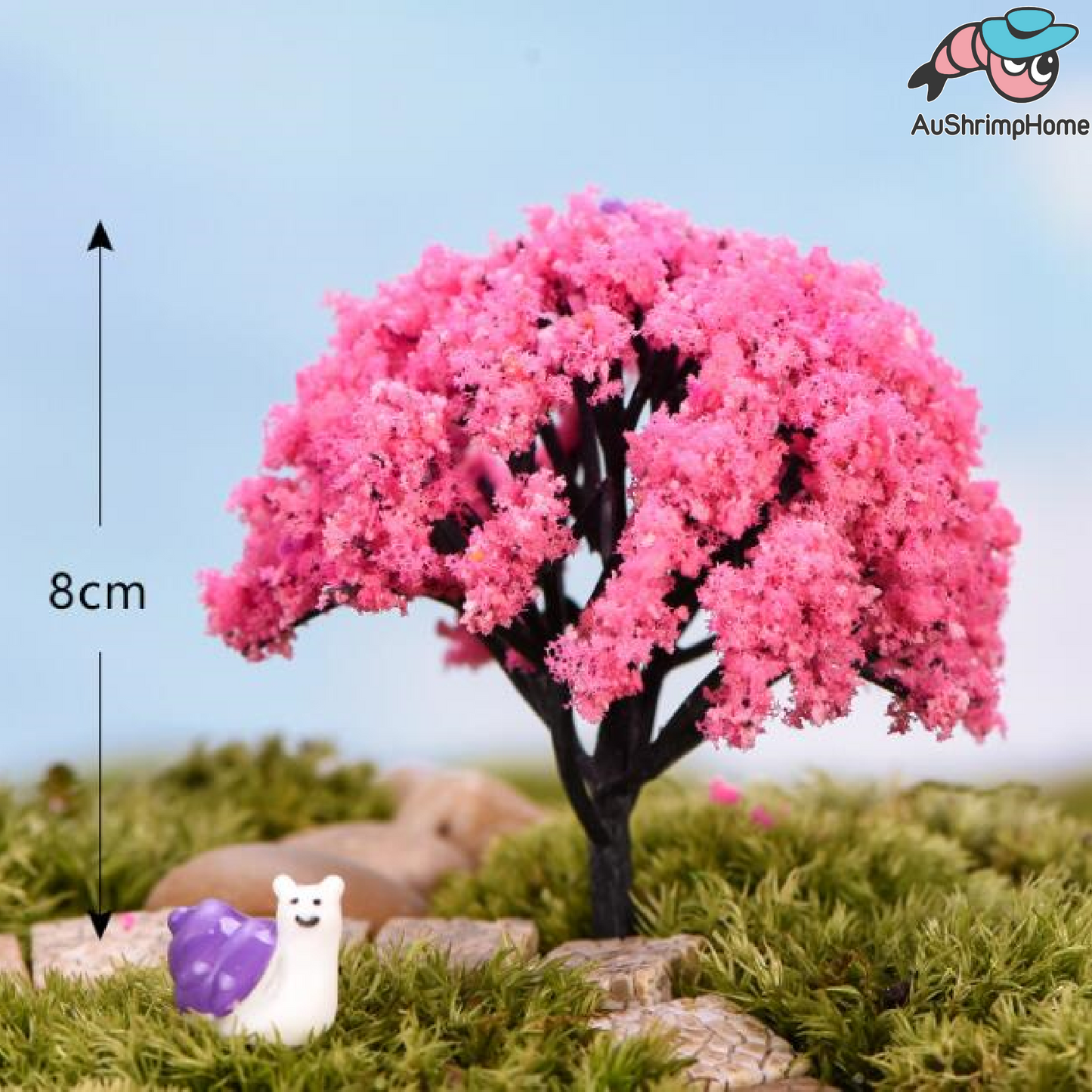 Blossom Flower Tree