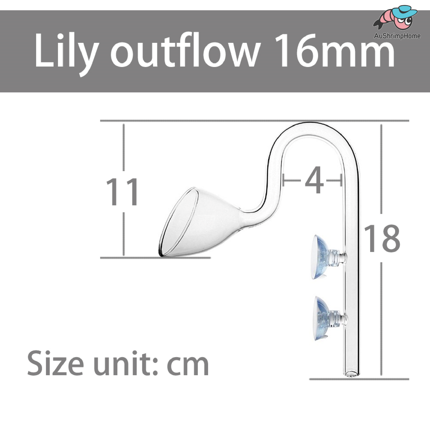 Glass Lily In/Outflow Set | 16mm