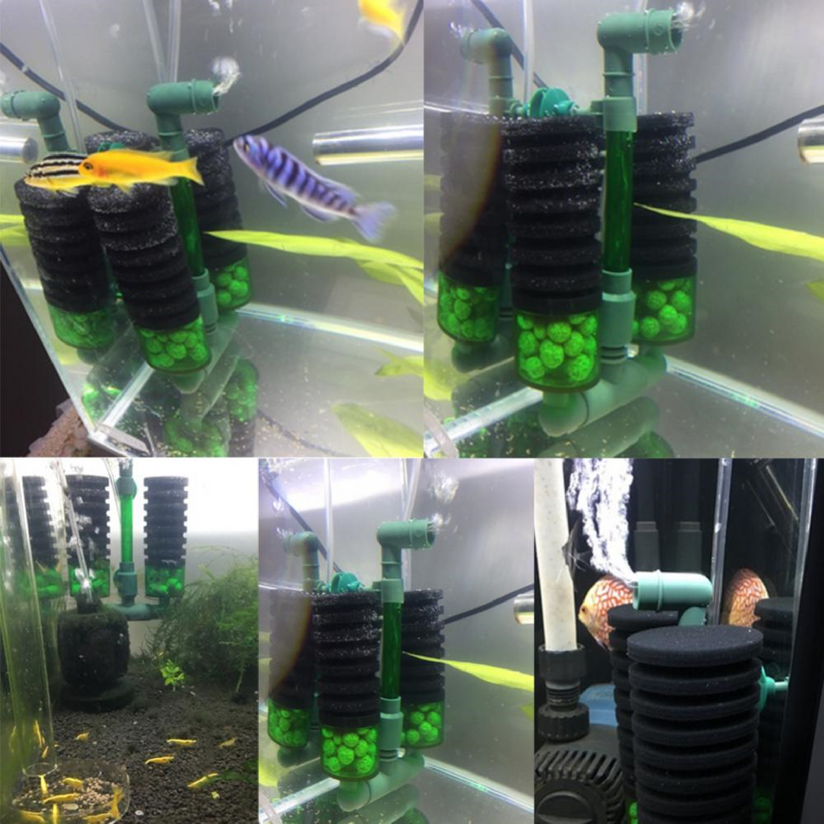 Bio Sponge Filter for Shrimp Tank for Sale Australia| QS200A Aquarium ...