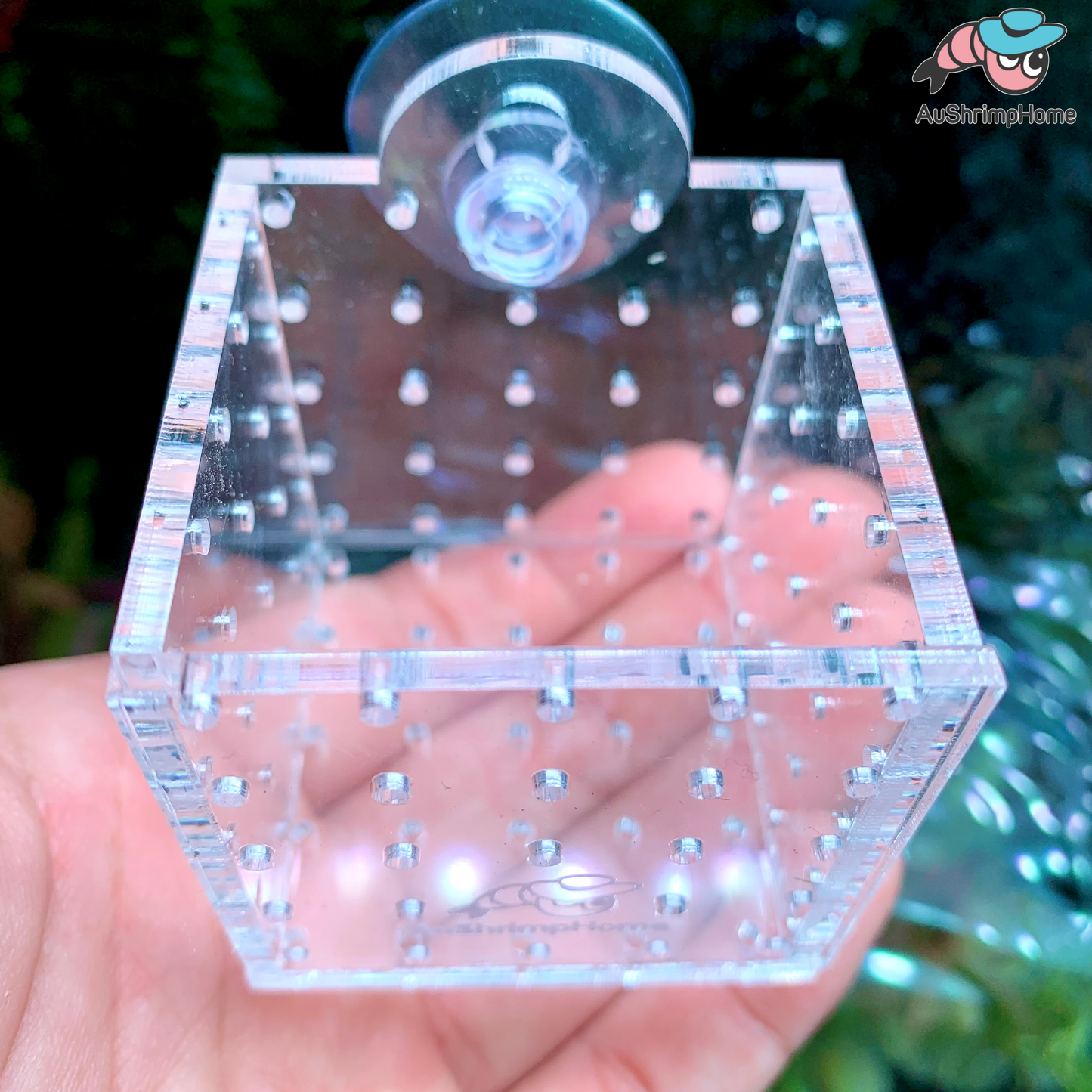 Acrylic Planter Cup | Cube