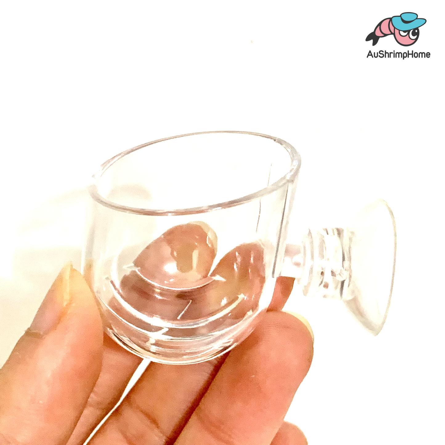 Mini Acrylic Pot | Cup for Plant