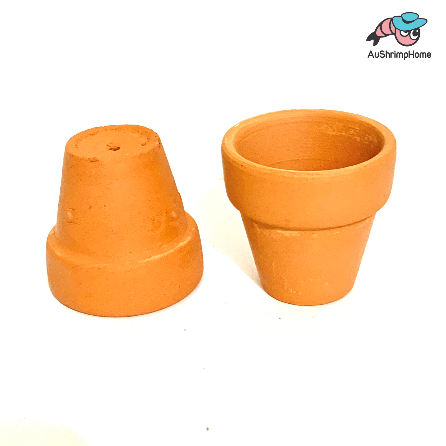 Mini Ceramic Pot | Terracotta Pot