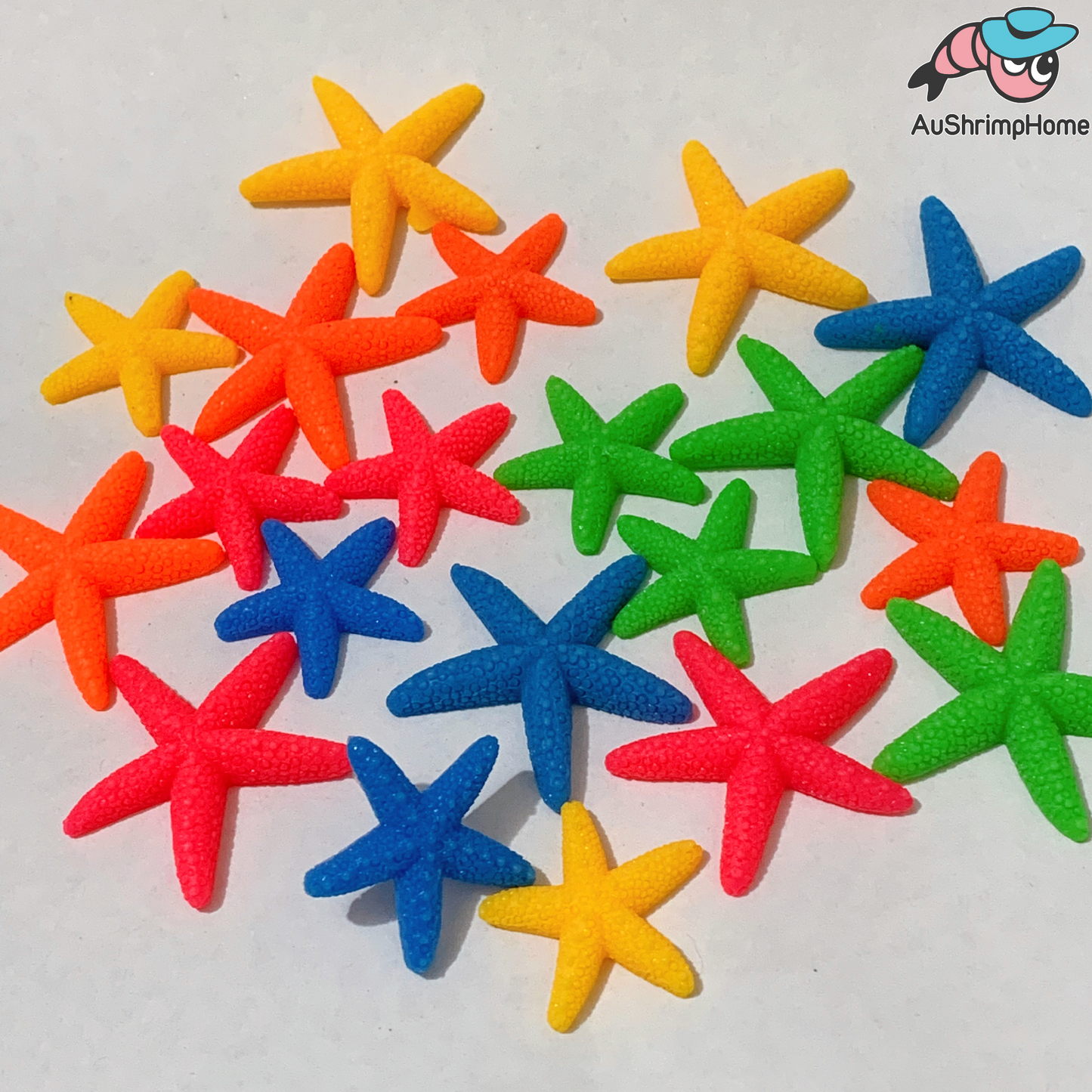 Colorful Star Fish | 4pcs