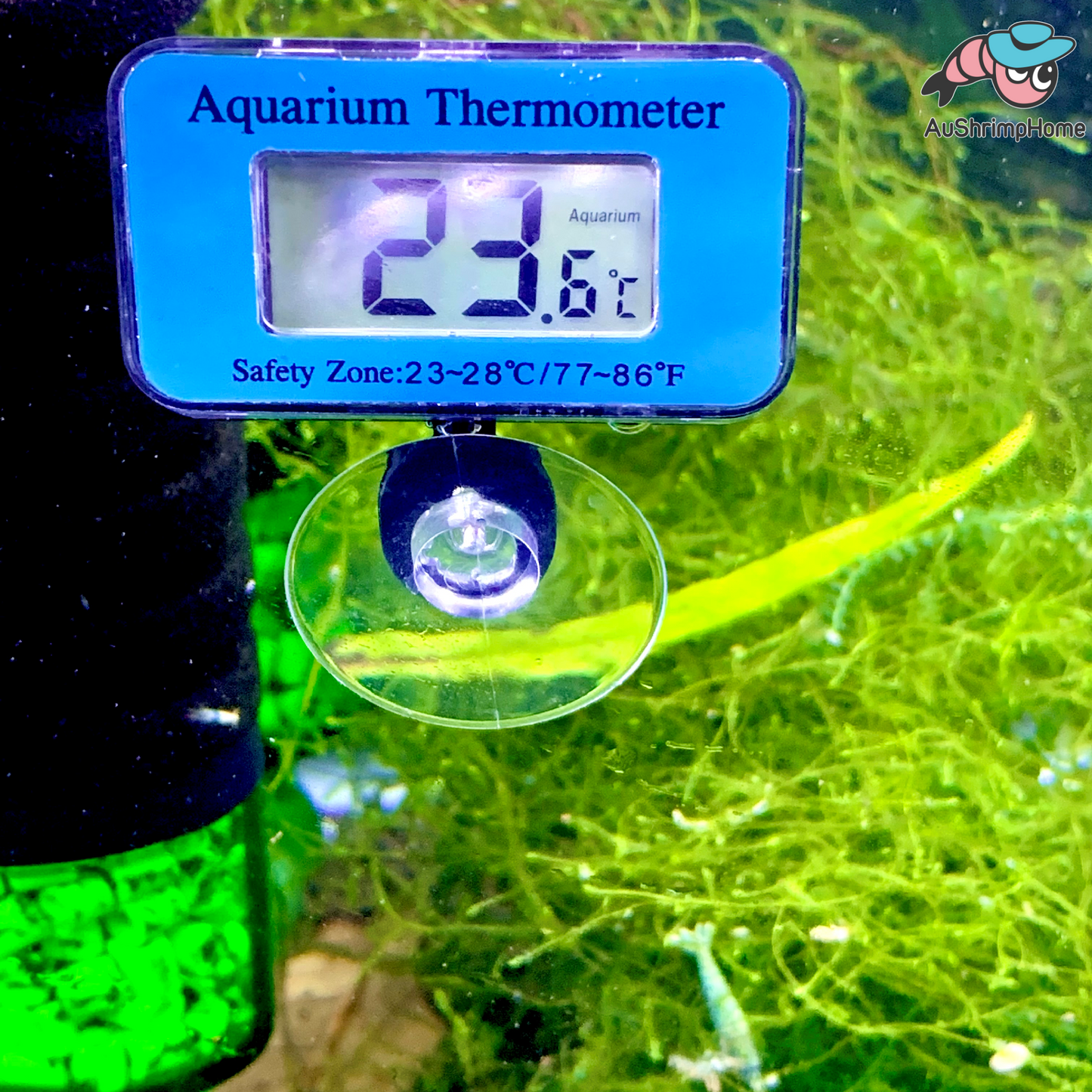 Digital Aquarium Thermometer | Submerged