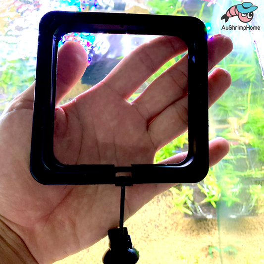 Floating Feeding Ring | Square