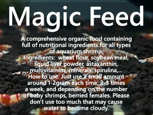 Magic Feed | Comprehensive& Organic Food 30g