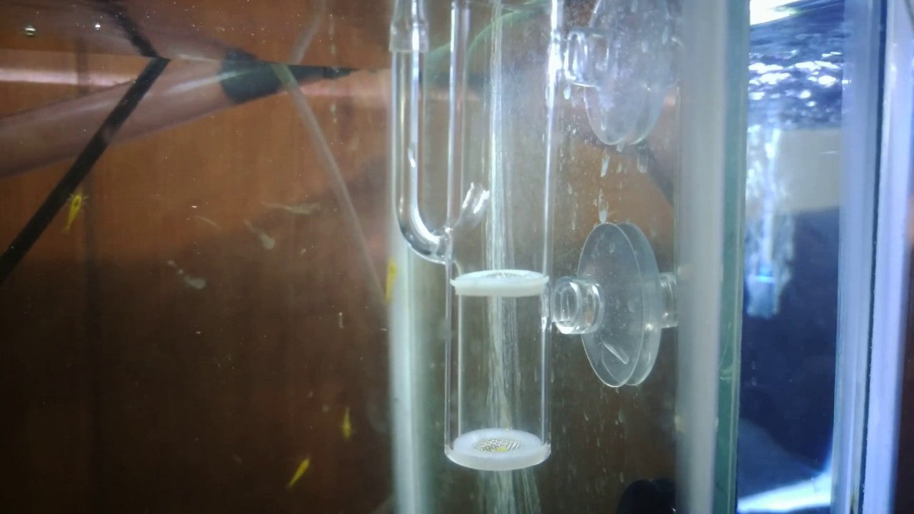 Shrimp Eggs Tumbler/Incubator